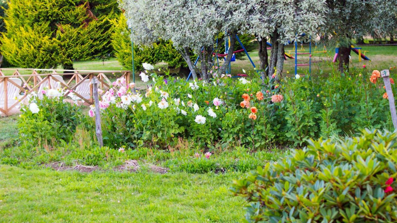 Hotel Y Cabanas Molino Viejo Puerto Varas Zewnętrze zdjęcie